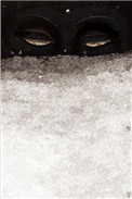 见雪知冬什么意思